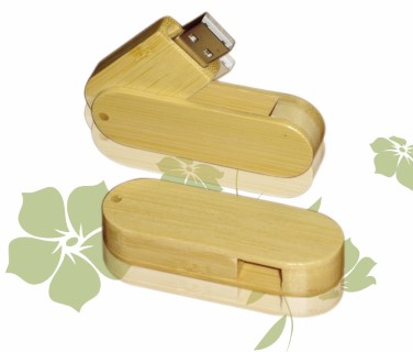 GK1725  Usb Flash Drive