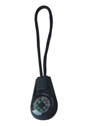 GK2684  Compass